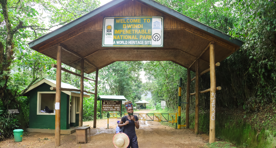 Bwindi Impenetrable National Park