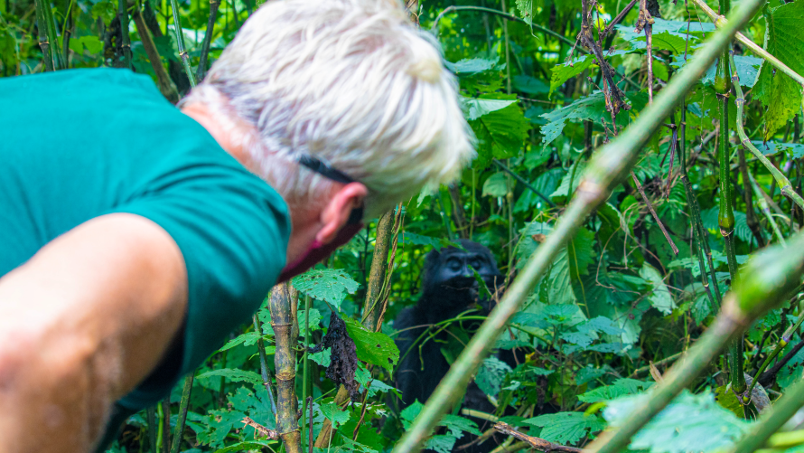 Gorilla trekking adventure in Bwindi Impenetrable