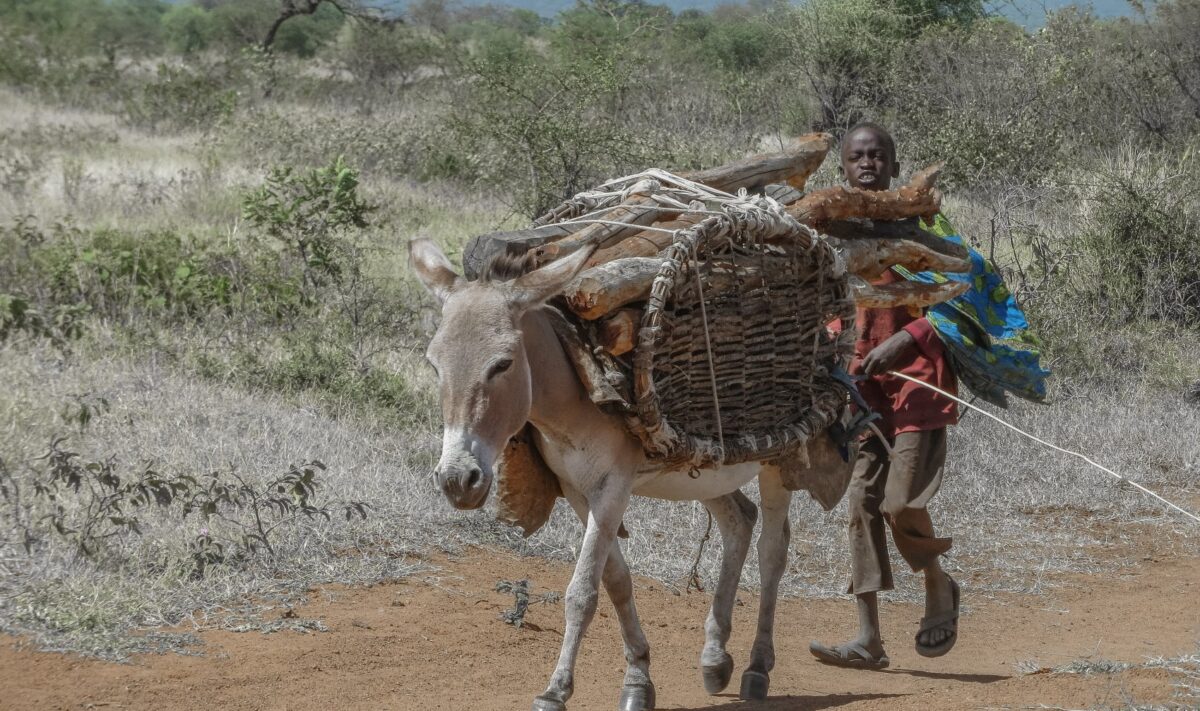 Nomad Experience Uganda Culture in Karamoja