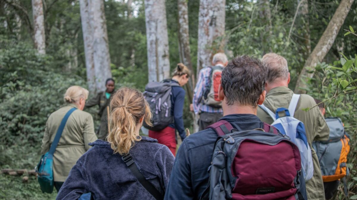 Nature Walk in Kyambura Gorge