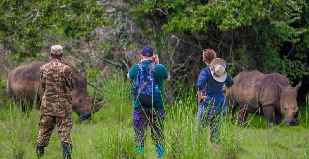 Rhino Tracking in Ziwa Sanctuary
