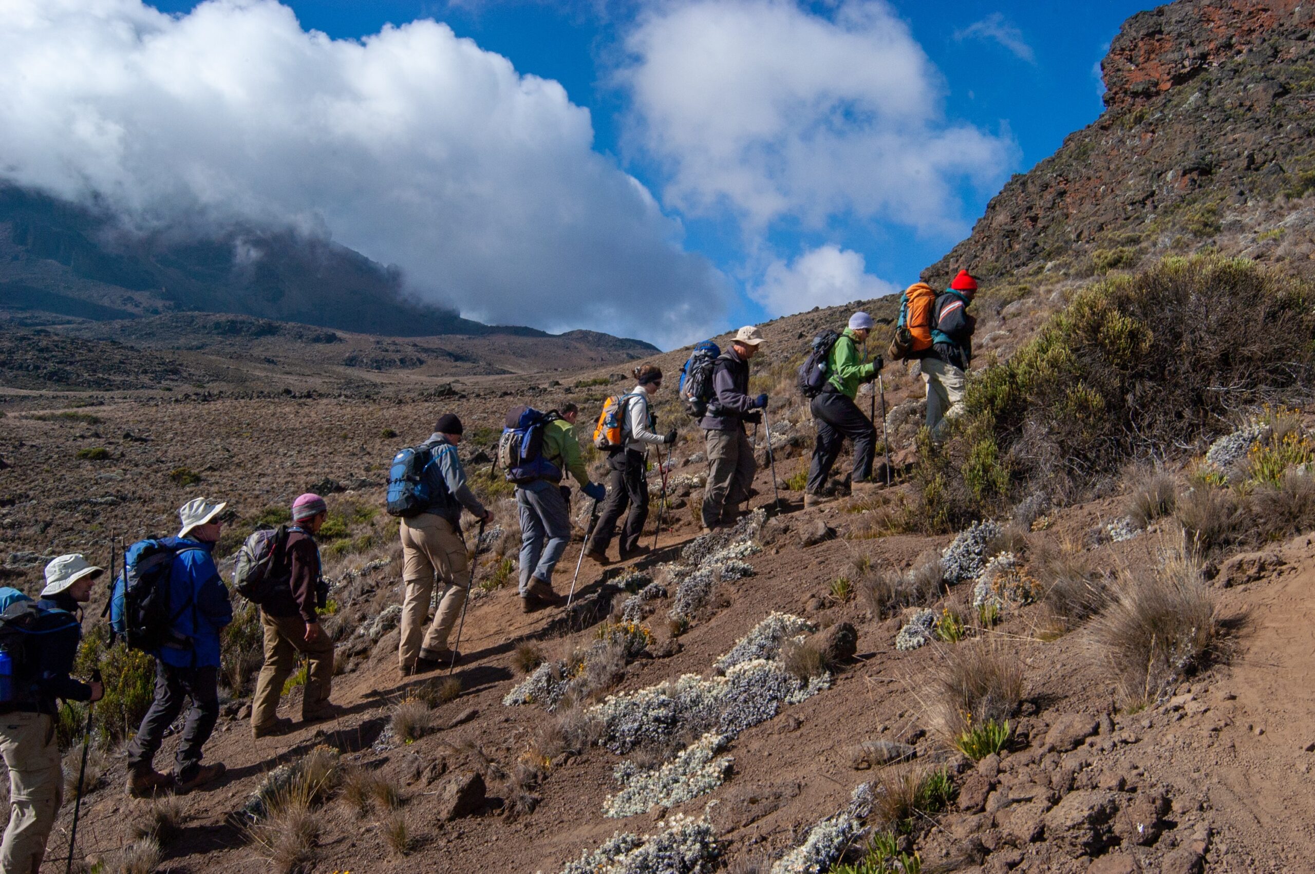Tourists Climbing Mountain Kilimanjaro