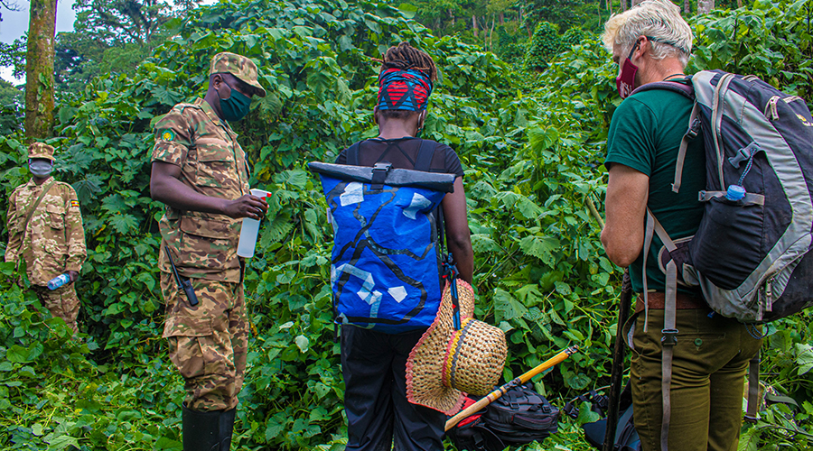 Gorilla tracking in Bwindi Impenetrable Forest