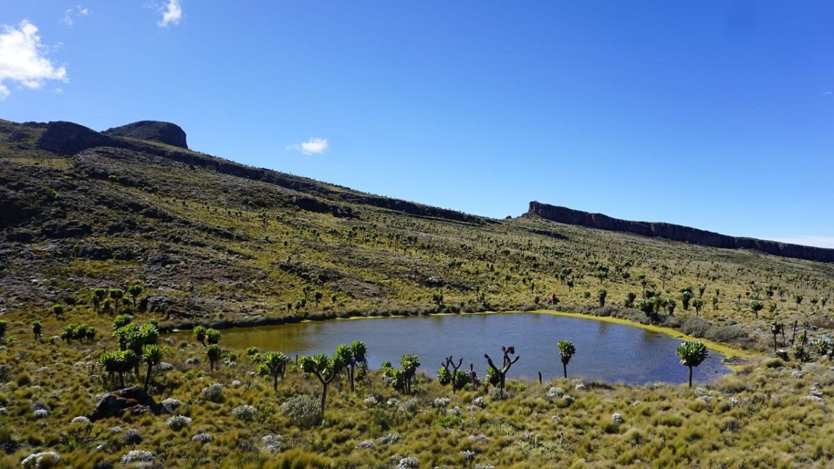 Mount Elgon National Park