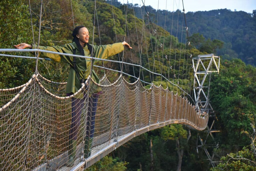 Nyungwe Forest Canopy Walk