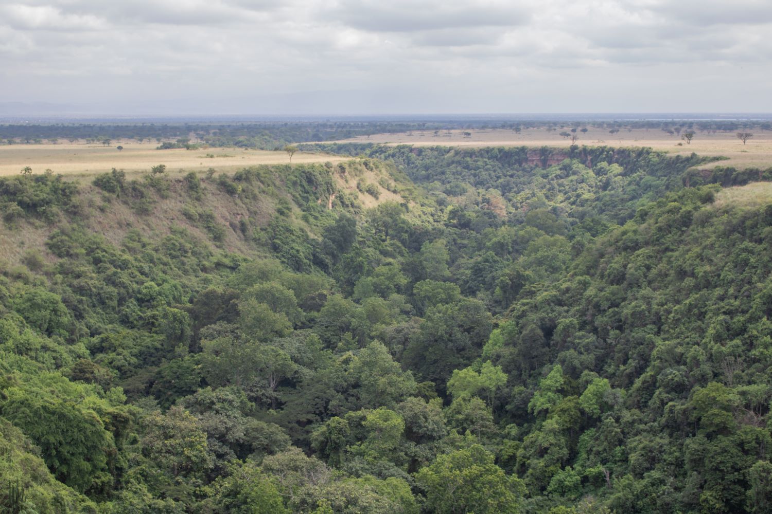 Kyambura Gorge in Queen Elizabeth Conservation Area