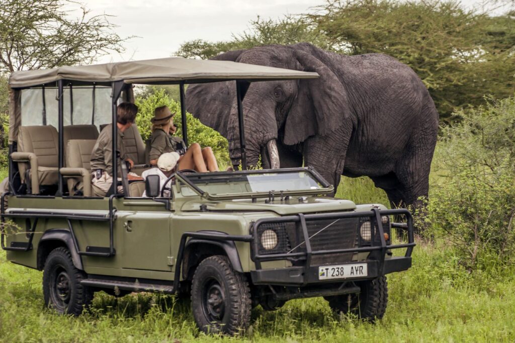 African Photography Safaris Tour Package