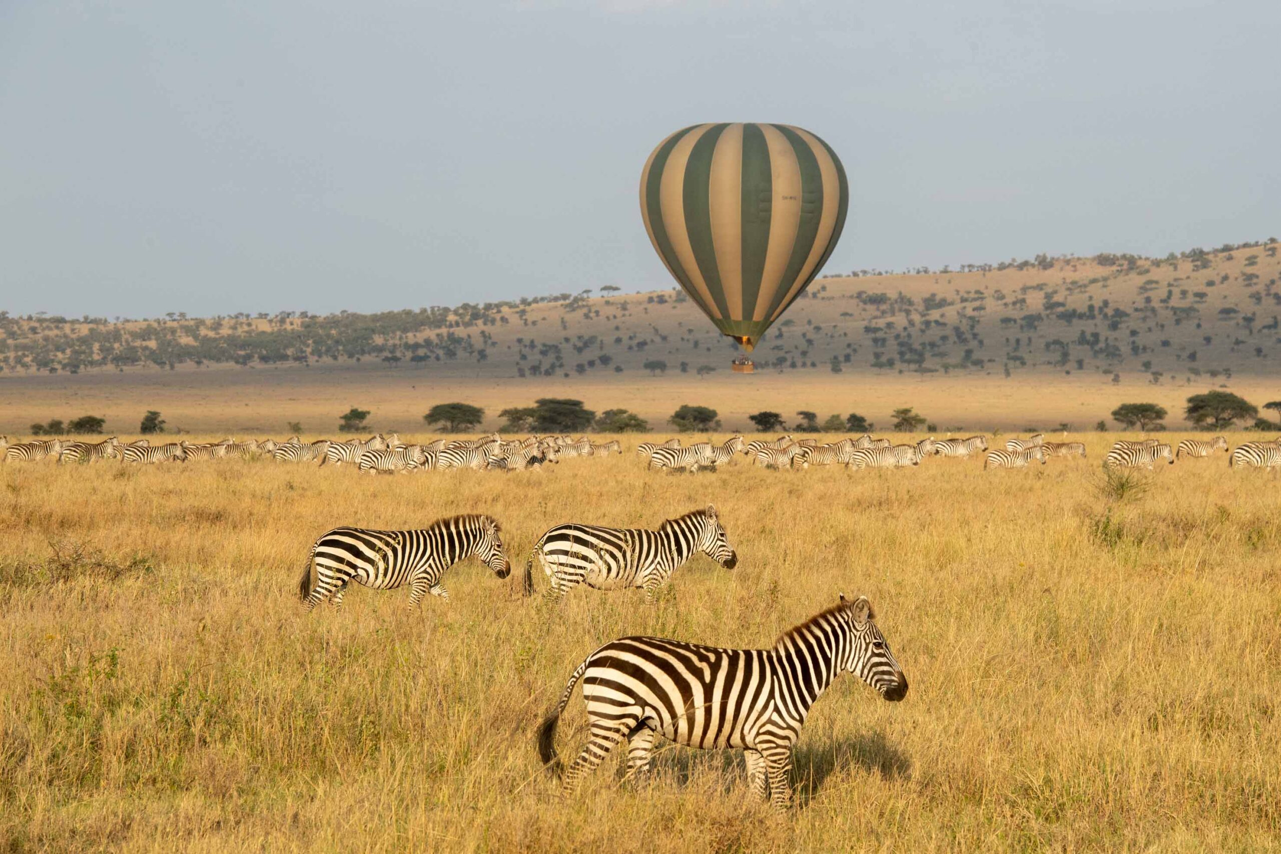 Balloon Safaris in Serengeti