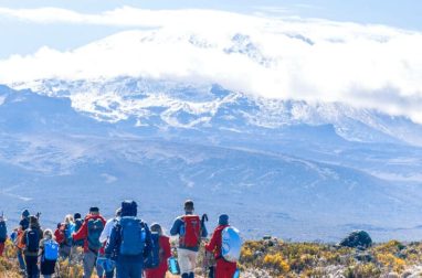 Kilimanjaro trekking safaris